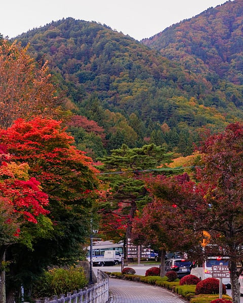 The fest celebrates the changing colours of the season