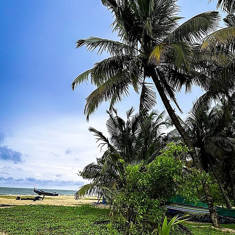 Marari Beach, kerala