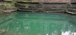 Shutterstock : For representation only