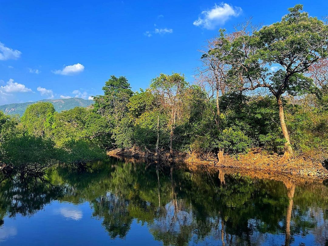 Bhagwan Mahavir Wildlife Sanctuary