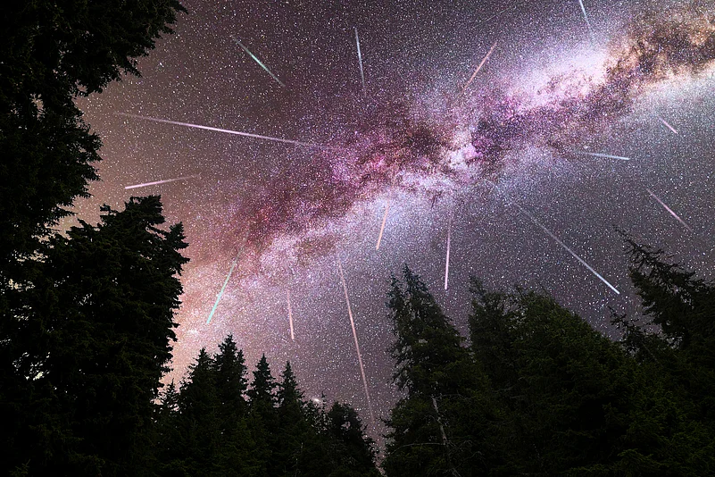 A Perseid meteor shower