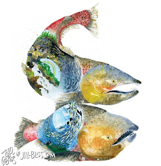 An artwork titled Chinook Salmon Nation from her My Habitats series