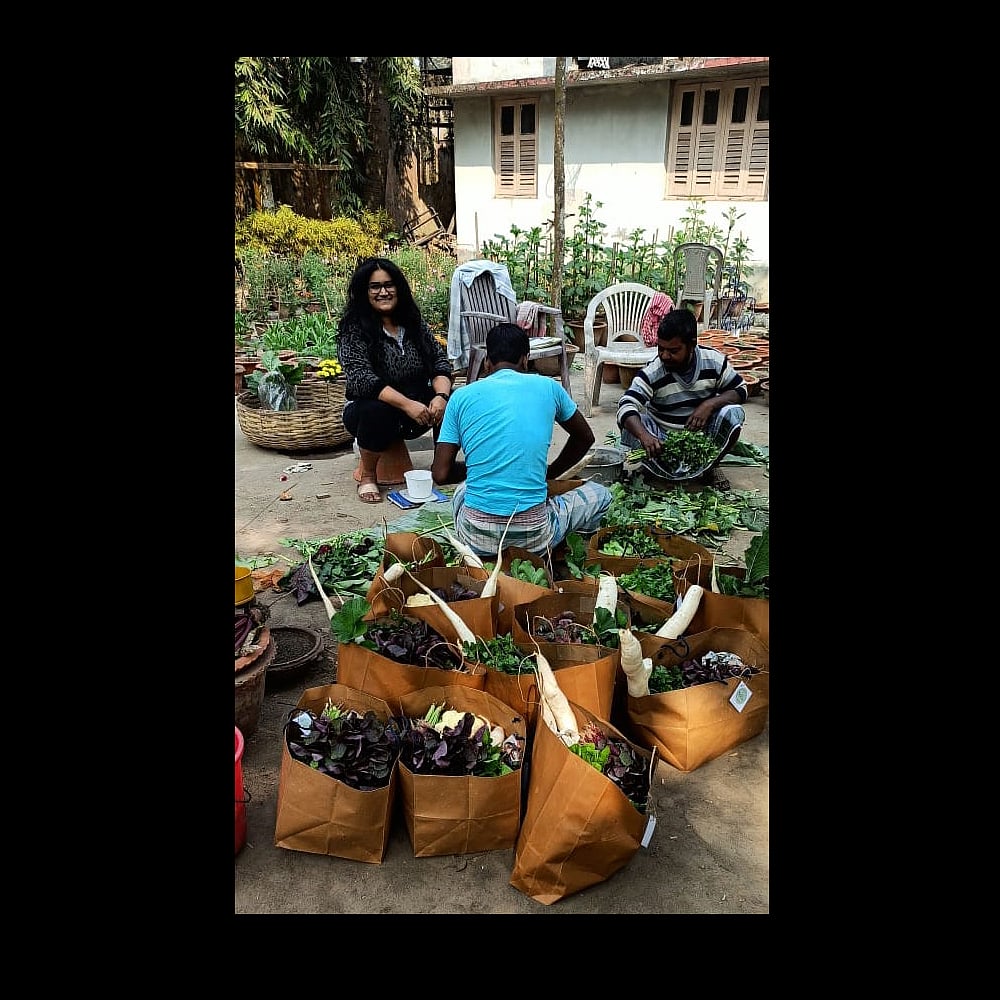 Sorting out fresh produce at Bagan Farm