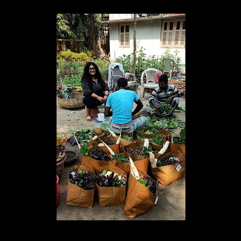 Sorting out fresh produce at Bagan Farm