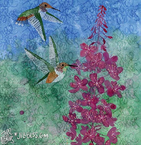 Artwork titled Rufous Hummingbird and Fireweed from her Nature Studies series
