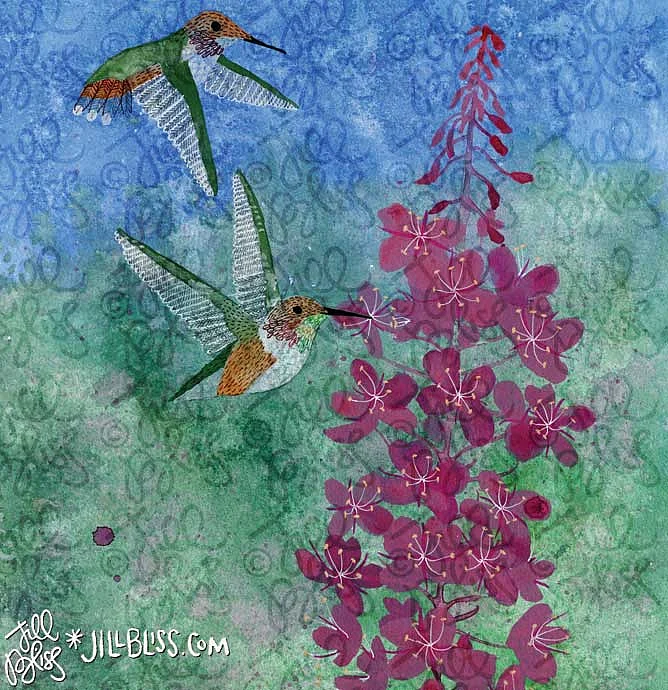 Artwork titled Rufous Hummingbird and Fireweed from her Nature Studies series