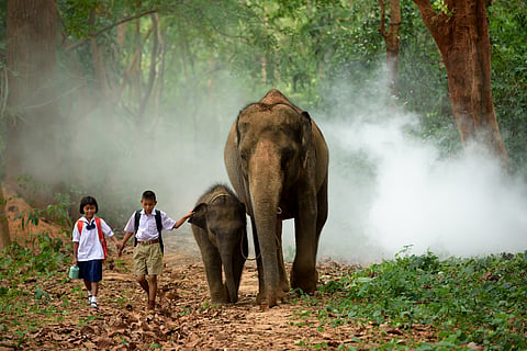 Laos