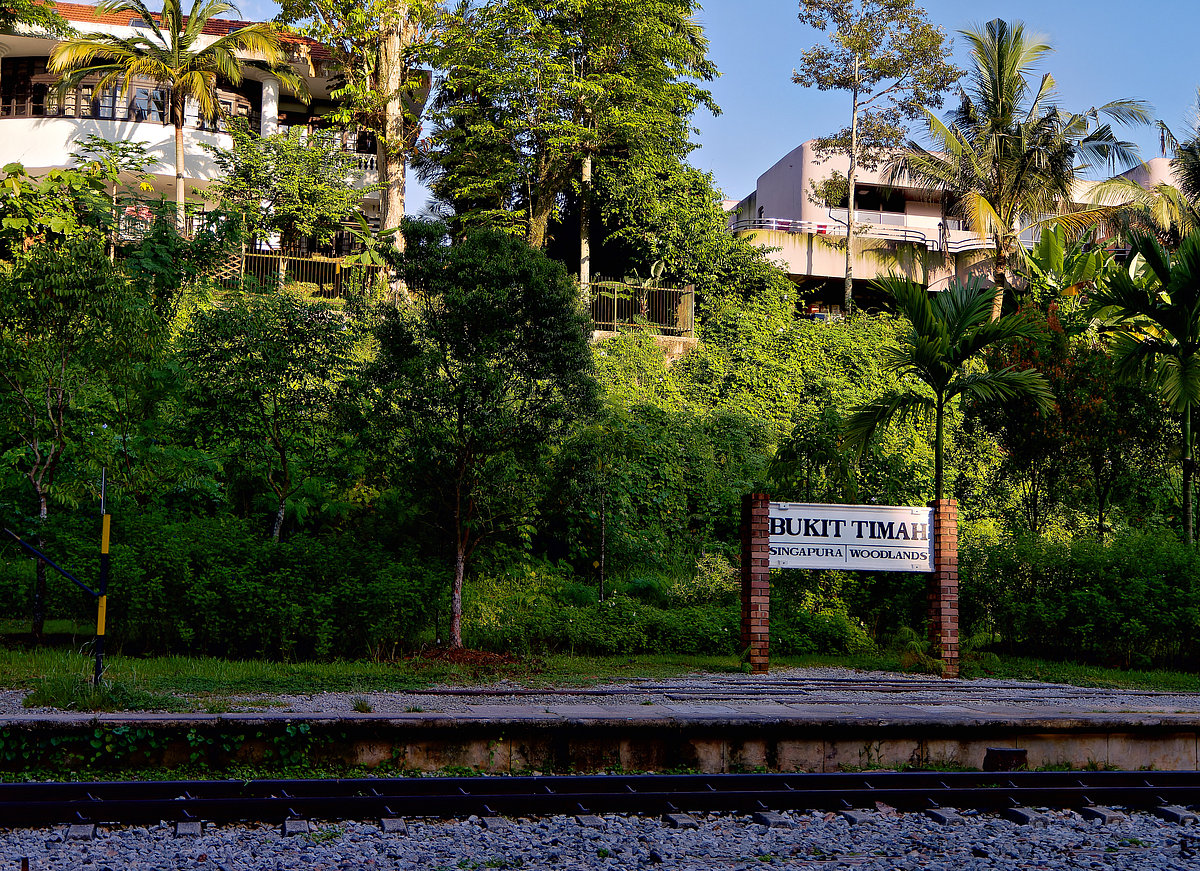 Bukit Timah Nature Reserve
