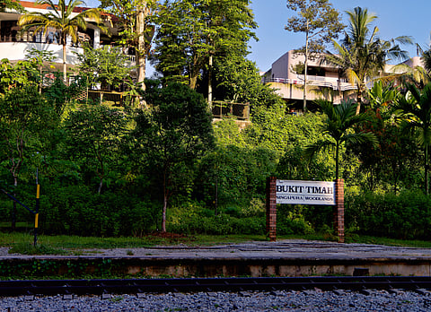 Bukit Timah Nature Reserve