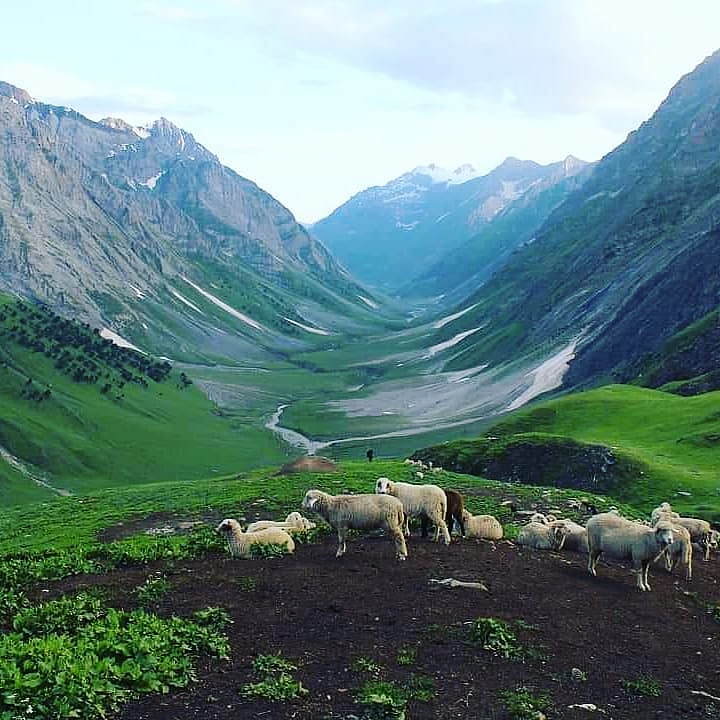 The best time to visit the beautiful valley of Warwan is between July and September