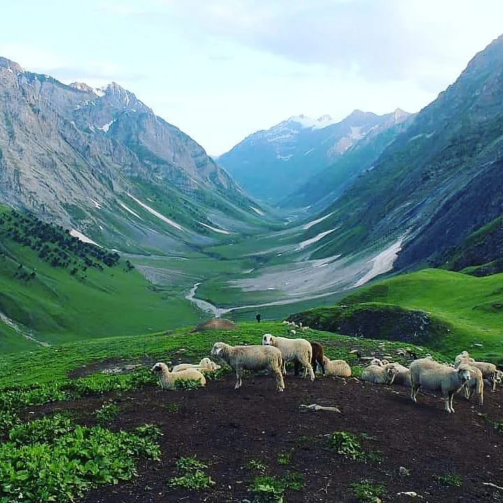The best time to visit the beautiful valley of Warwan is between July and September