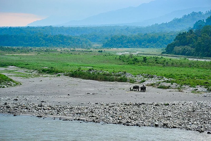 Manas National Park has been designated the World Heritage Site status by UNESCO