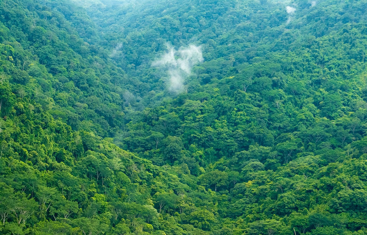 Bijagual, San José, Carara, Costa Rica