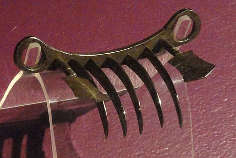 The weapon is shaped like tiger claws
