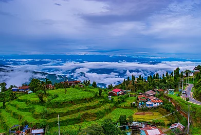 Shutterstock : Darjeeling