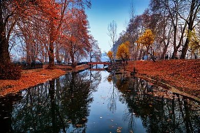 Shutterstock : View of the Jhelum River in Srinagar
