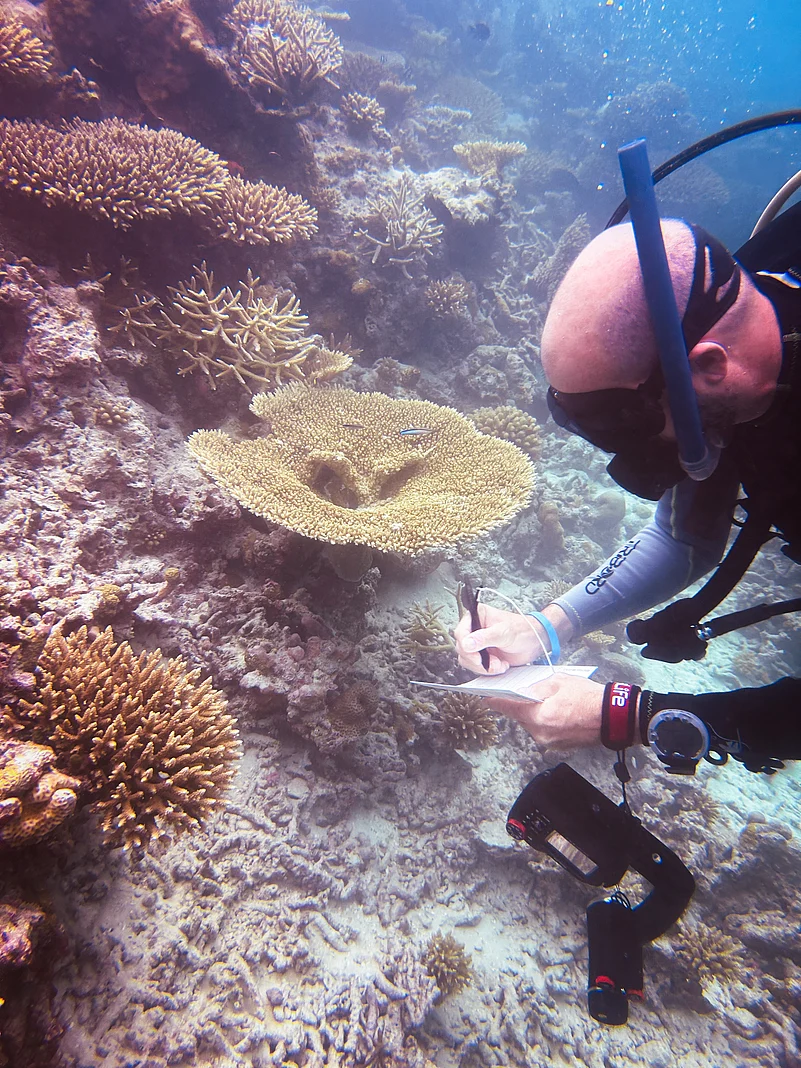 The fragile coral reefs face threats from overfishing