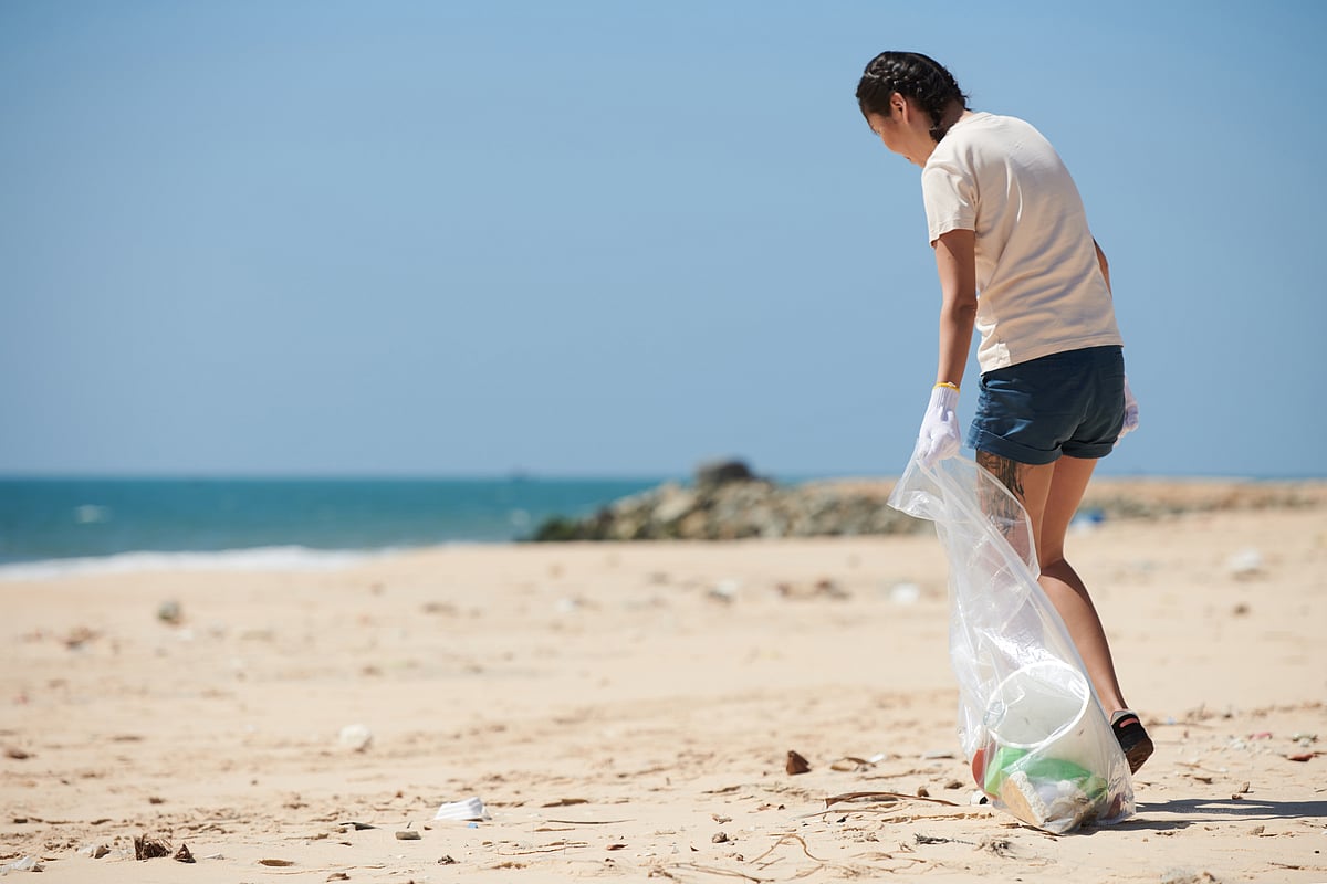 Participate in cleaning drives at the nearest beach
