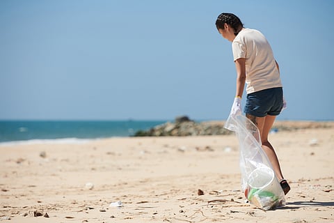 Participate in cleaning drives at the nearest beach