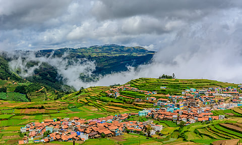 Landscape of Ooty