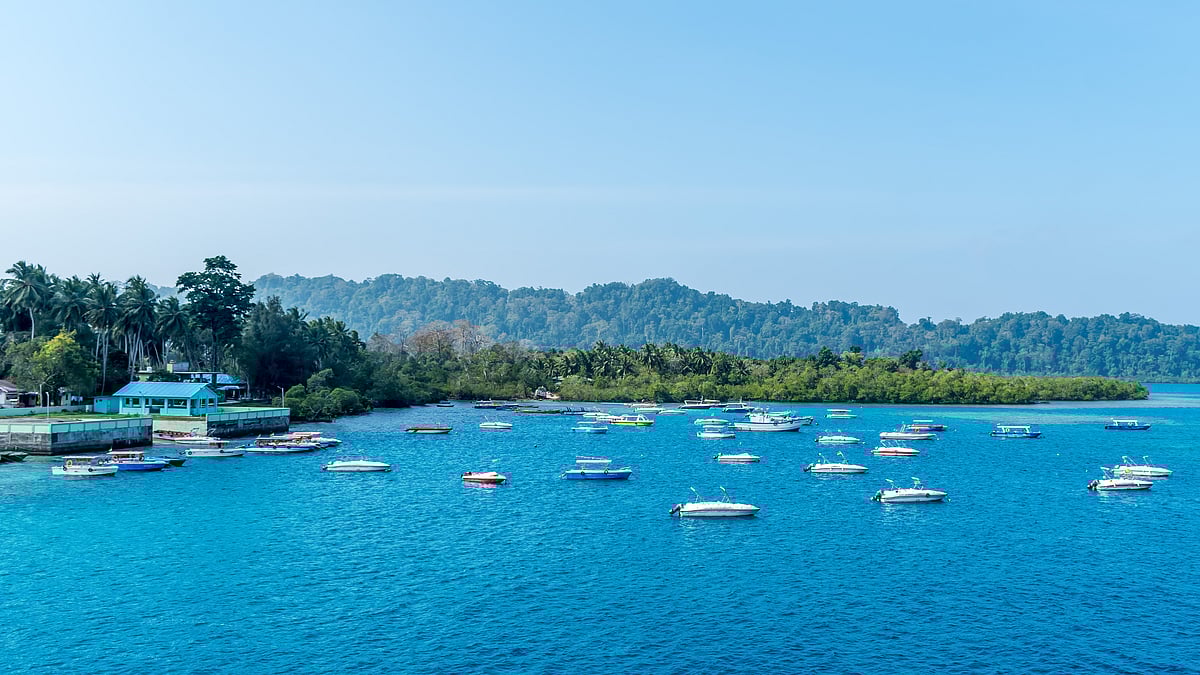 A view of the Havelock Island