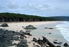 Beach at Butler Bay