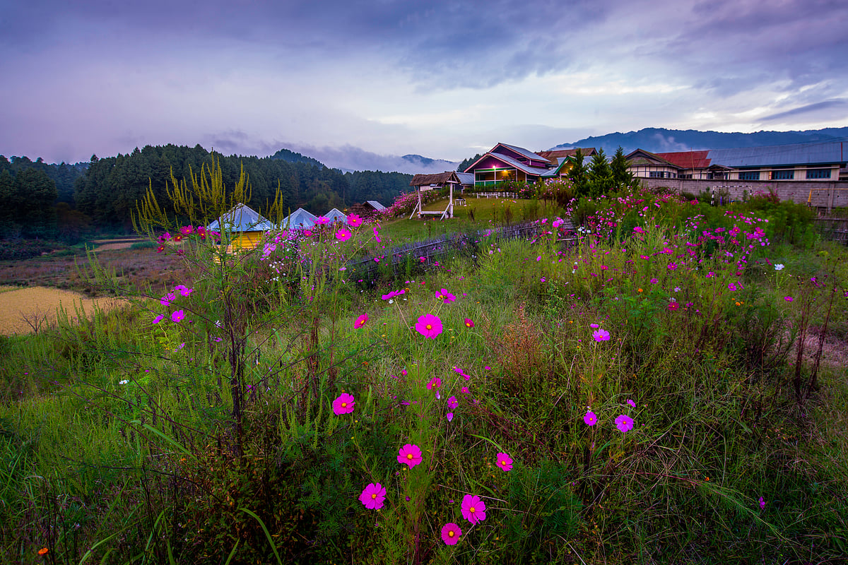Ziro