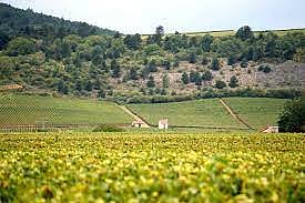 Burgundy, France's wine-producing region