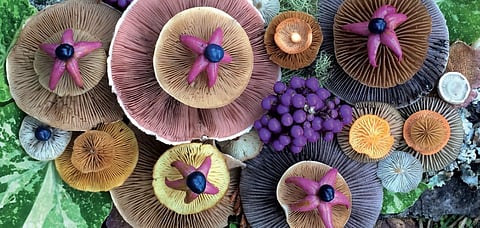 Bliss creates artwork with wild local plants and mushrooms which she finds in the forests. Credit Jill Bliss