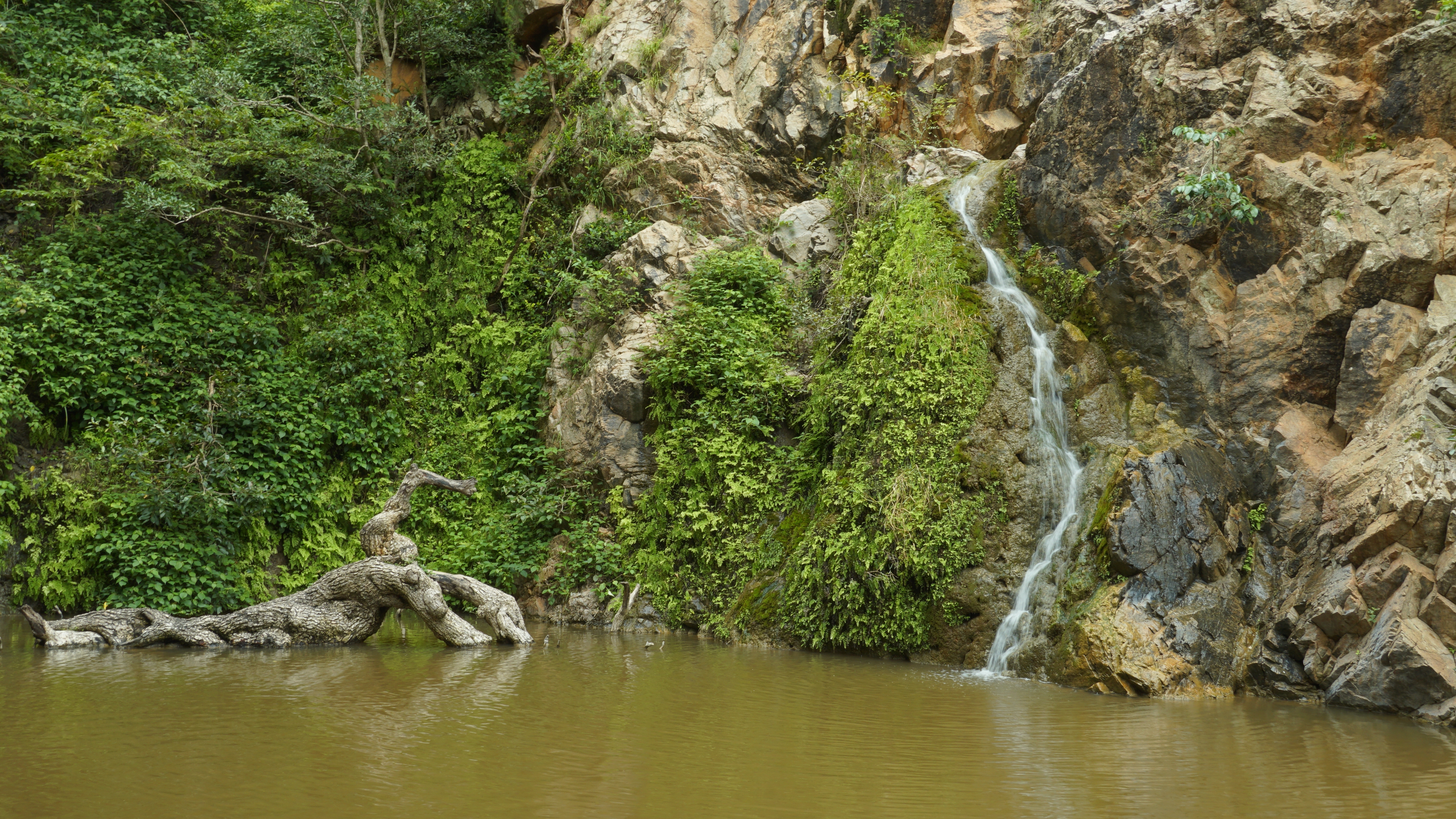 Hiking is one of the best ways to feel one with nature