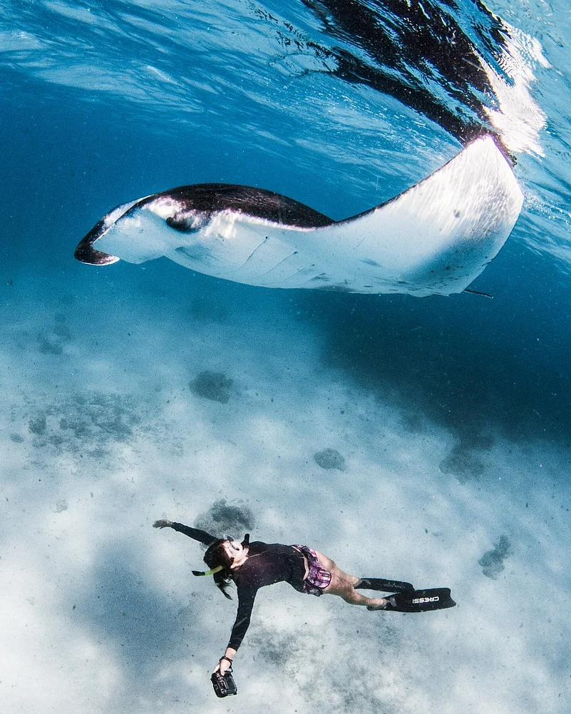 At Four Seasons you can also adopt a Manta to support the marine conservation initiatives in the Maldives