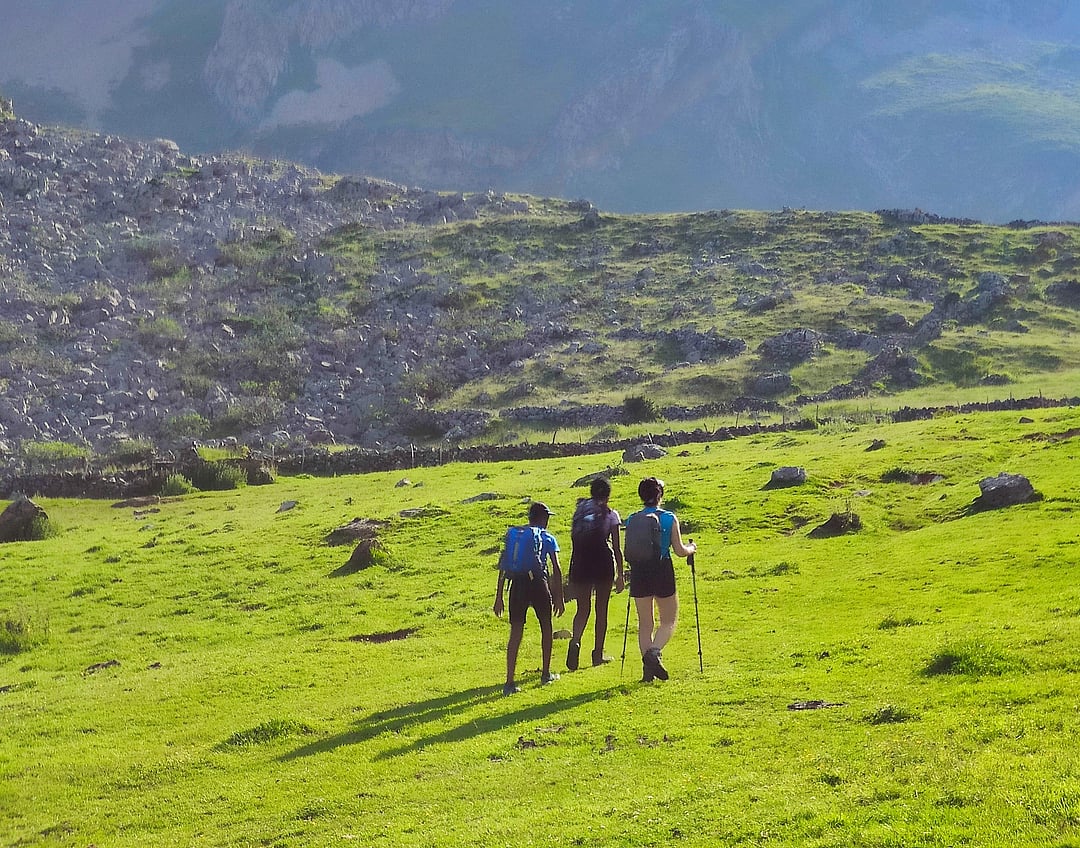 For representational purposes