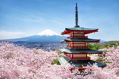 Shutterstock : Chureito Pagode and Mount Fuji, Japan