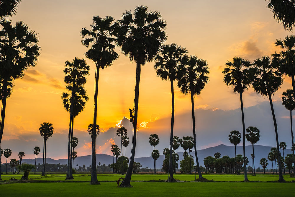 Phetchaburi