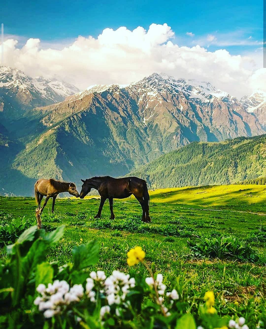 Bhaderwah has an array of meadows and valleys that are  preferred picnic spots 