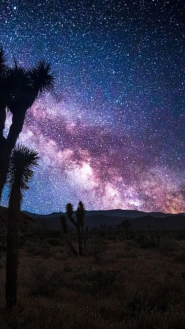 For representational purposes