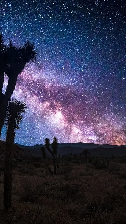 For representational purposes