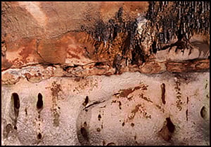 Cambridge University Press : The ancient paintings and engravings have been discovered in a 500-metre-long cave