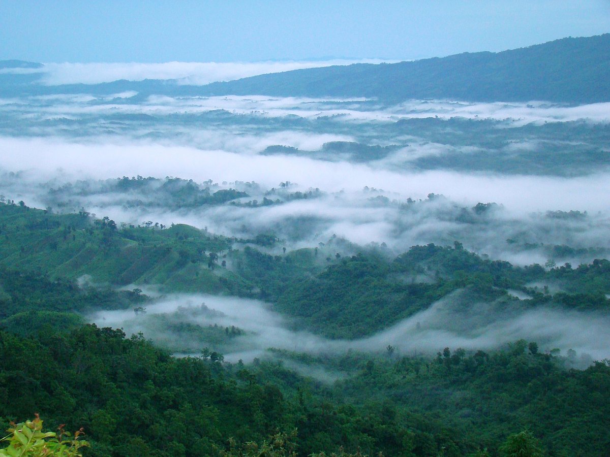 Tripura Tourism/Facebook : Jampui Hills