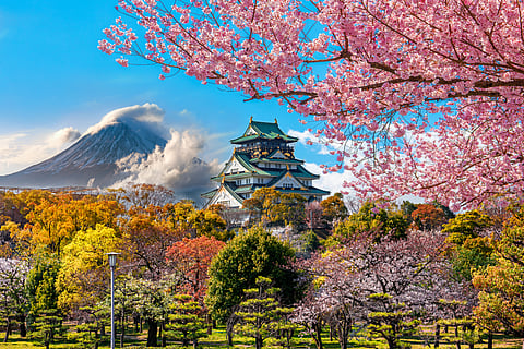 Osaka Castle, Osaka