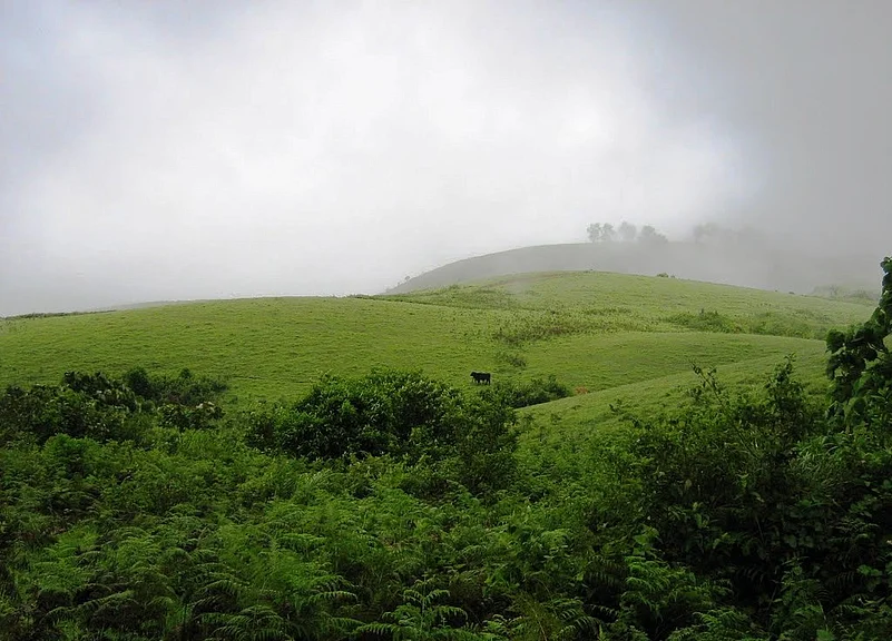 Vagamon meadows
