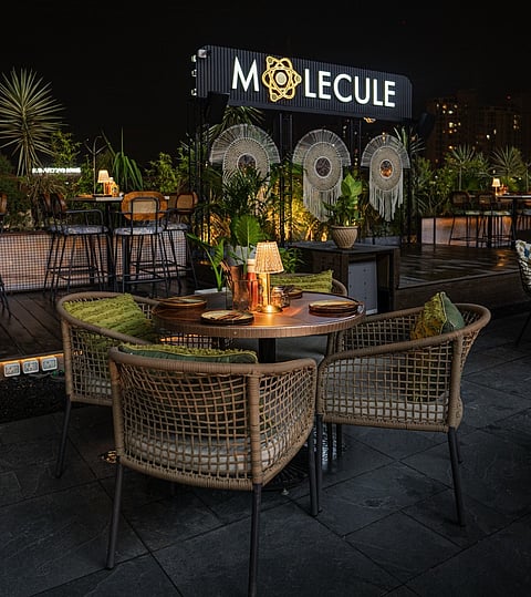 Contemporary interiors at Molecule IFC