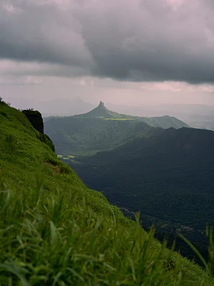 Unsplash : For representation only