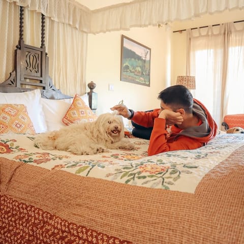 A glimpse of Standard Hideaway Room