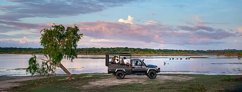 The resort offers game drives guided by locally trained rangers