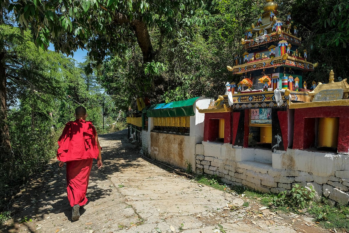 Tsuglagkhang Complex environs
