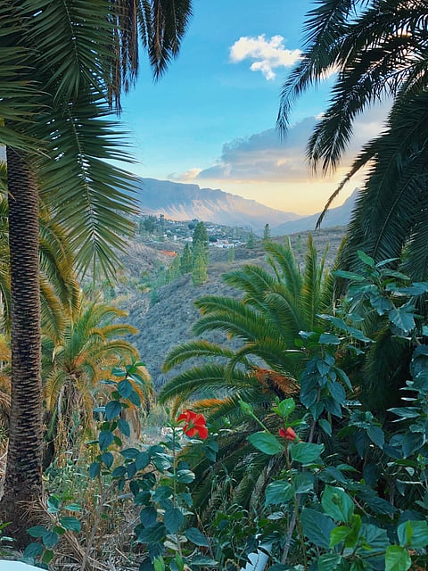 Gran Canaria