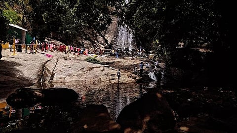 Monkey Falls descends from a height of approximately 60 ft near Aliyar Dam