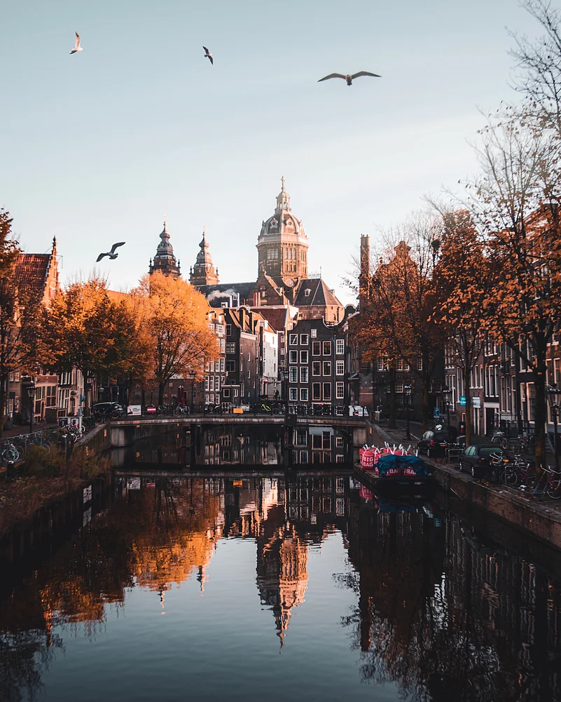 Amsterdam is expected to welcome approximately 20 million tourists by the end of this year