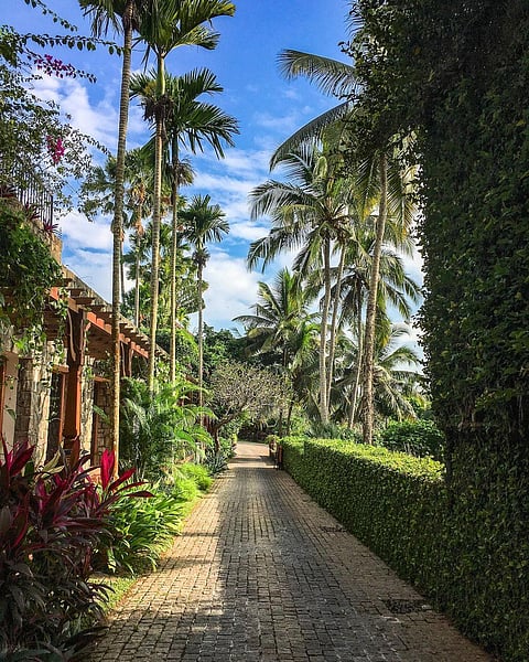 Taj Green Cove